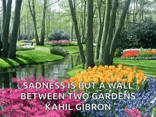 Sadness Is But A Wall Between Two Gardens By Kahlil Gibron GIF