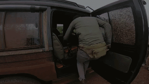 Safari Namibia Tanzania Africa GIF