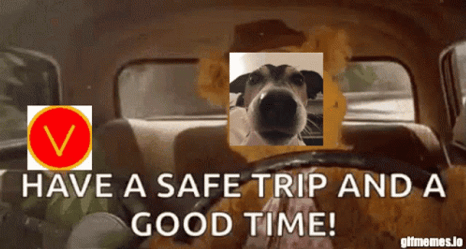 Safe Travels GIF