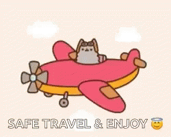 Kitty On Plane Safe Travels GIF