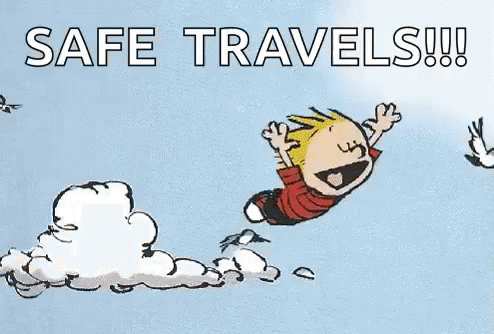 Safe Travels Calvin Flying With Birds GIF
