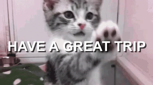 Safe Travels Cute Kitty Paw GIF