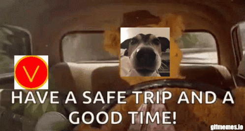 Safe Travels 498 X 266 Gif GIF