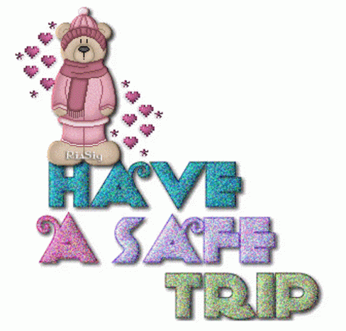 Safe Travels Safe Trip Brown Bear GIF
