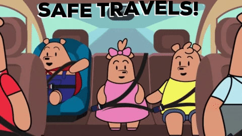 Safe Travels Pants Bear Family GIF