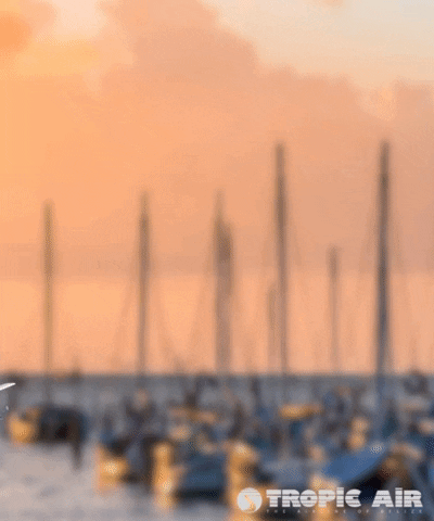 Safe Travels Plane Taking Off GIF