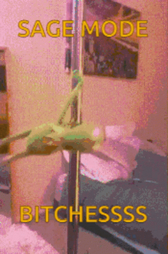 Sage 329 X 498 Gif GIF