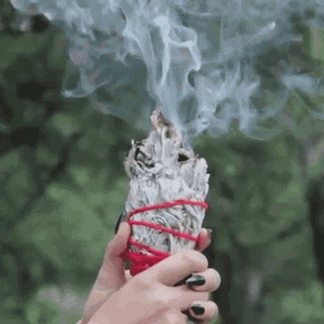 Sage Burning Gif GIF