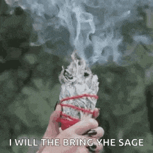 Sage Gif GIF