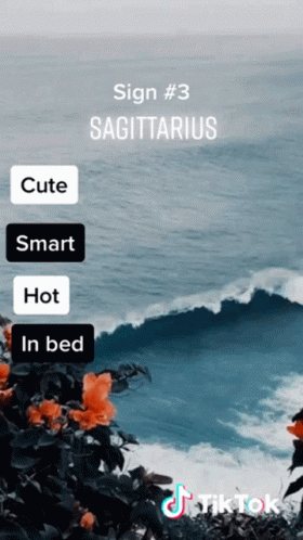 Sagittarius Sign With Ocean Background GIF