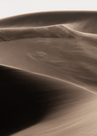 Sahara Desert Dunes GIF