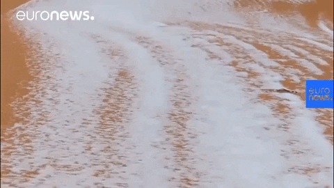Sahara Desert Snow GIF