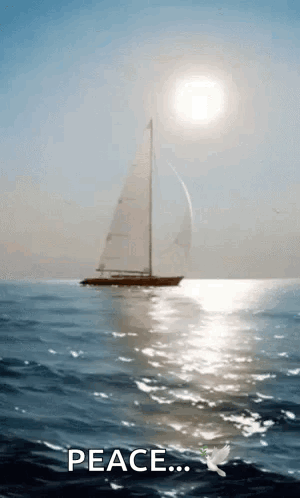 Sailboat Floating On Water With Sun GIF