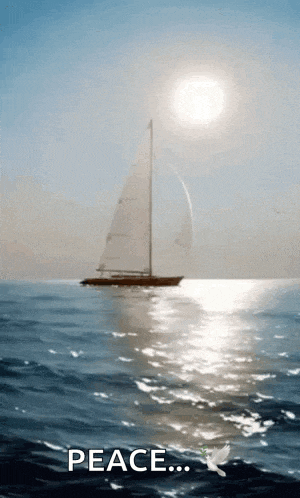 Sailboat Sea Gif GIF