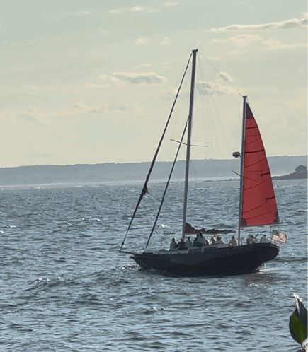 Sailboat With Red Sail Floating