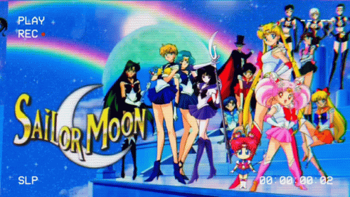 Sailor Jupiter And Friends Poster GIF