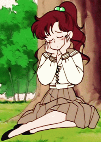 Sailor Jupiter Makoto Kino GIF