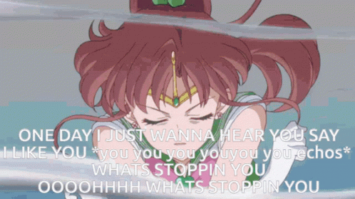 Sailor Jupiter What's Stopping You GIF
