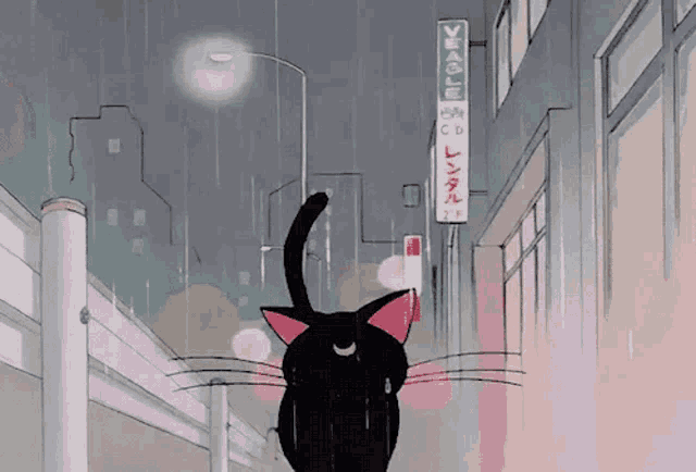 Sailor Moon Cat Gif GIF