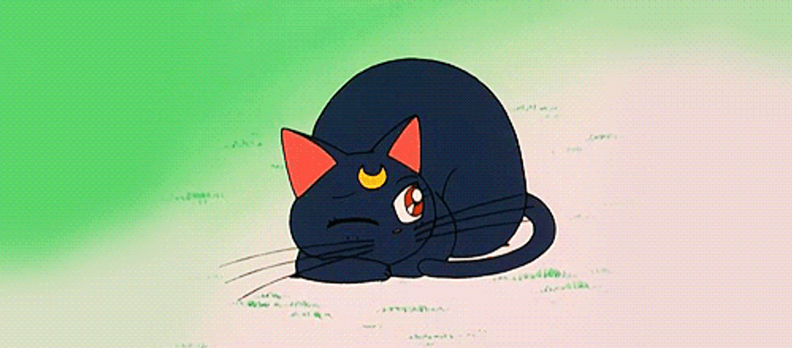 Sailor Moon Cat Sleeping Gif Gifdb Com