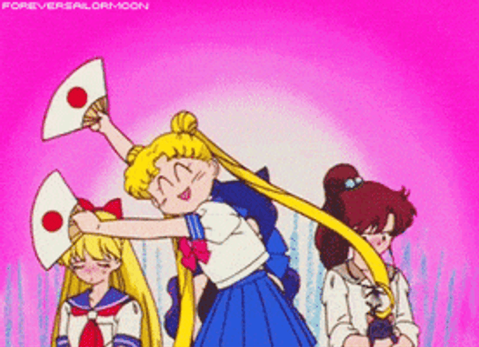 Sailor Moon Sailor Venus Sailor Jupiter GIF