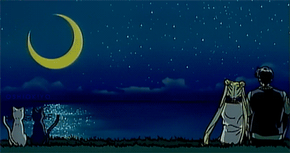 Sailor Moon Tuxedo Mask Under Night Sky GIF