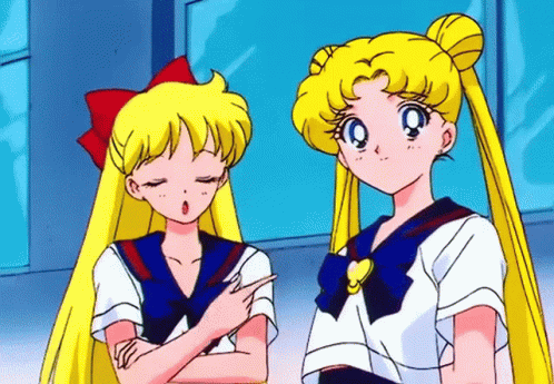 Sailor Venus And Sailor Moon GIF