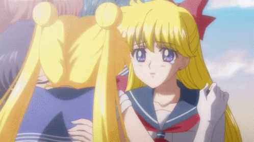 Sailor Venus Hugging Artemis GIF