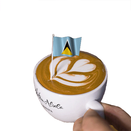 Saint Lucia Flag On Cappuccino GIF