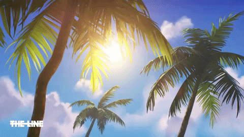 Saint Lucia Palm Trees GIF