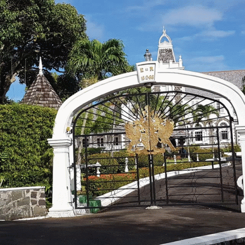 Saint Lucia Parade Tours GIF