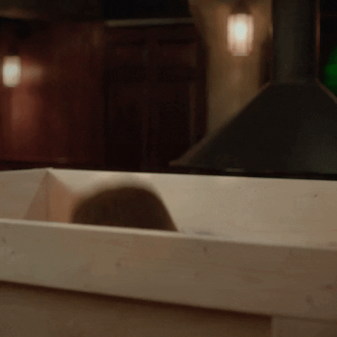 Saint Patricks Day Man Popping Out Of Box GIF