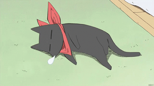 Sakamoto Cat Anime Sleep GIF