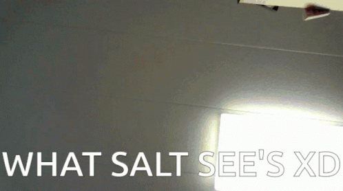 Salt Point Of View GIF