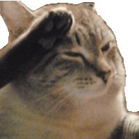 Salute Cat Sticker GIF
