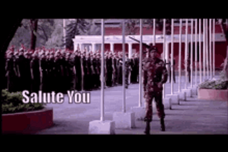Salute You Military Soldier GIF