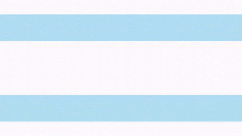 Salvi Chicago Ceos GIF