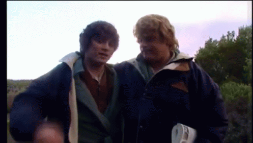 Samwise Gamgee And Frodo Baggins Accomplishment GIF