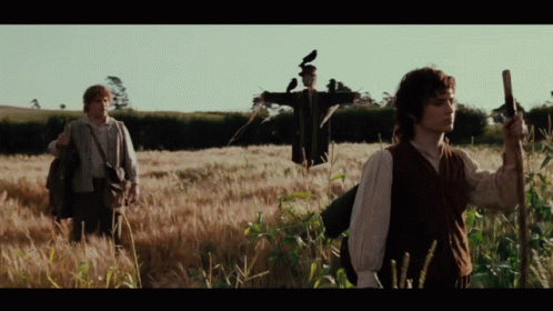 Samwise Gamgee And Frodo Baggins In Field GIF