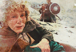 Samwise Gamgee And Pippin Took GIF