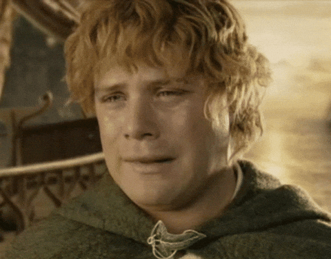 Samwise Gamgee Crying Lord Of The Rings GIF