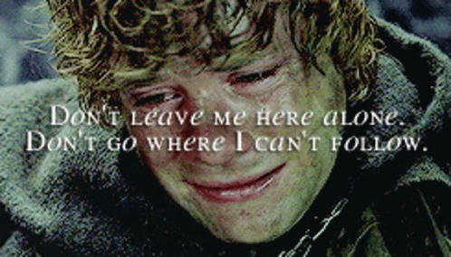 Samwise Gamgee Dont Leave Me Here Alone GIF
