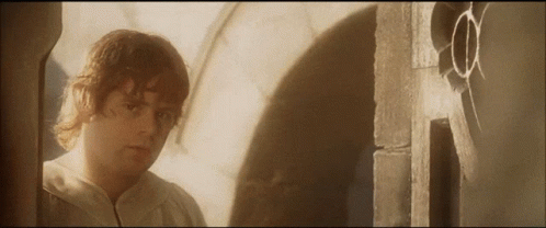 Samwise Gamgee Entering The Door GIF