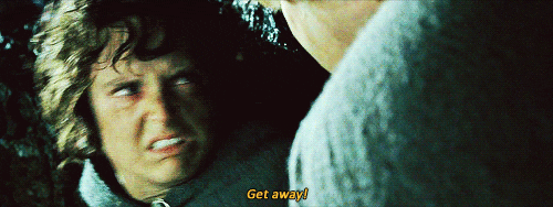 Samwise Gamgee Getting Pushed By Frodo Baggins GIF