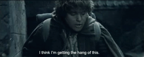 Samwise Gamgee Getting The Hang Of This GIF