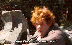 Samwise Gamgee Im Coming With You GIF