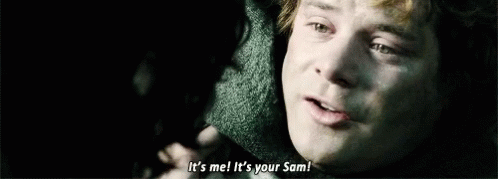 Samwise Gamgee Its Me Lord Of The Rings GIF