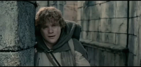 Samwise Gamgee Leaning On Wall GIF