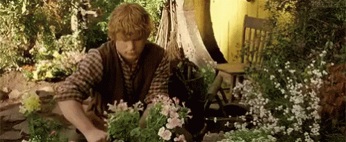 Samwise Gamgee Picking Up Flowers GIF