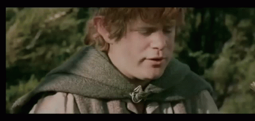 Samwise Gamgee Talking To Gollum GIF